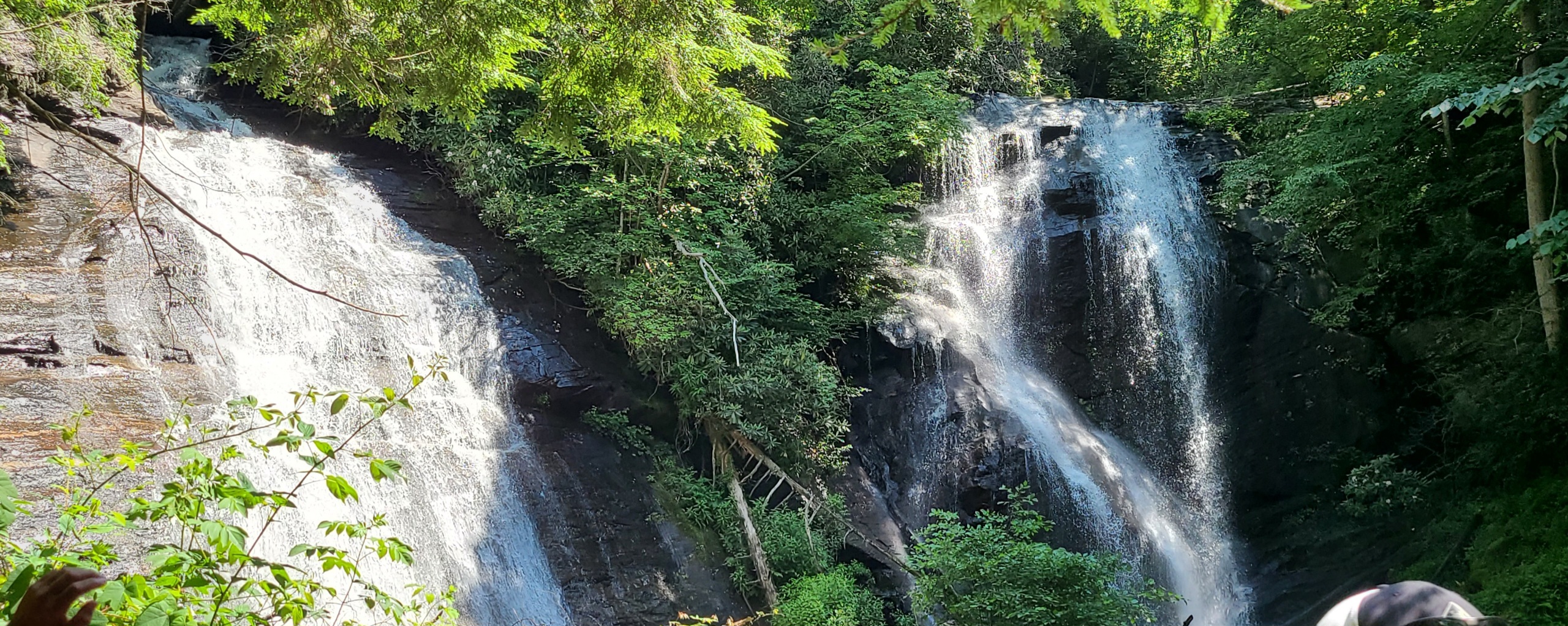 Our Favorite Mountain Destinations: Places We Love Exploring With Our Schnauzer