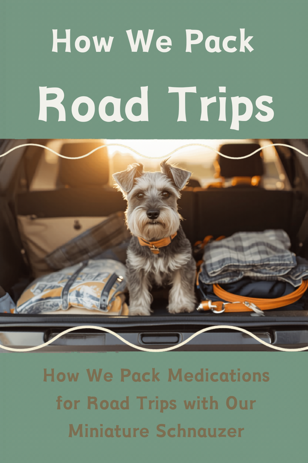 Traveling With Medications for Our Schnauzer