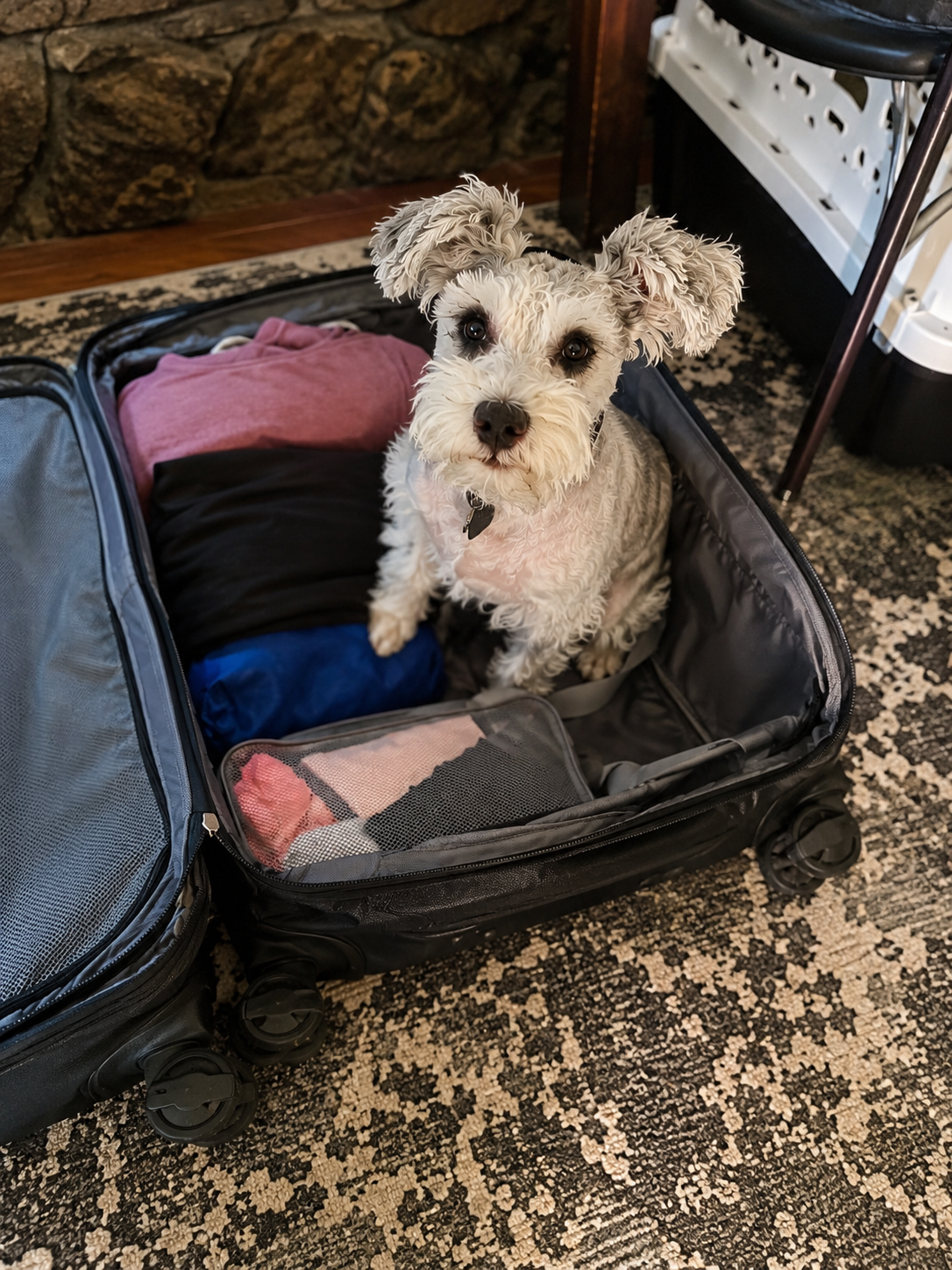 Our Travel Day Routine With Angel: From Breakfast to Check-In