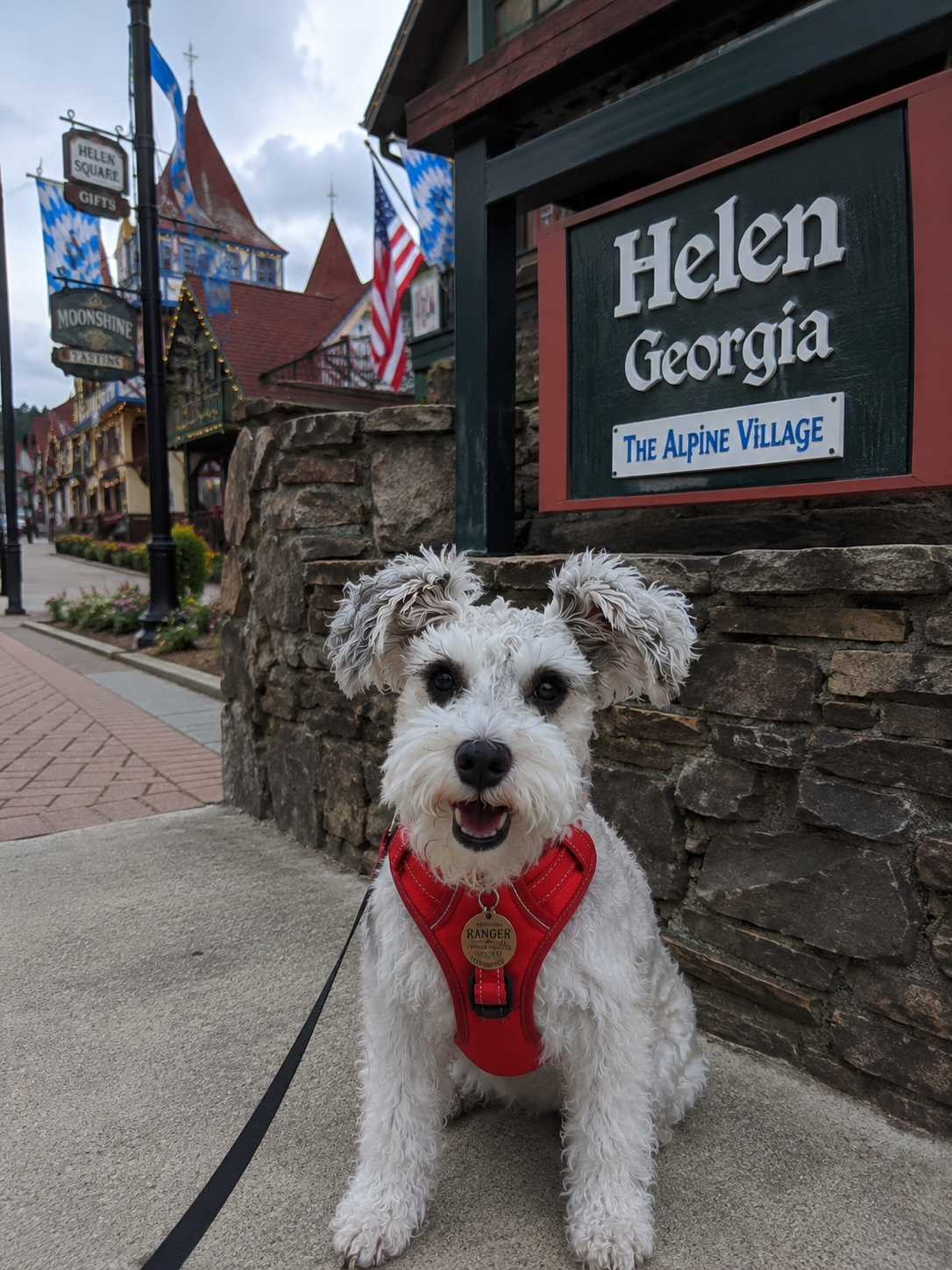 Dog-Friendly Things to Do in Helen, GA