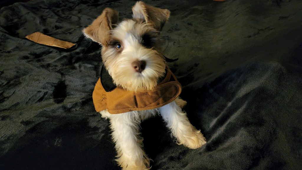 Angel in her brown coat