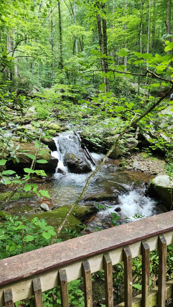 Hiking Trail