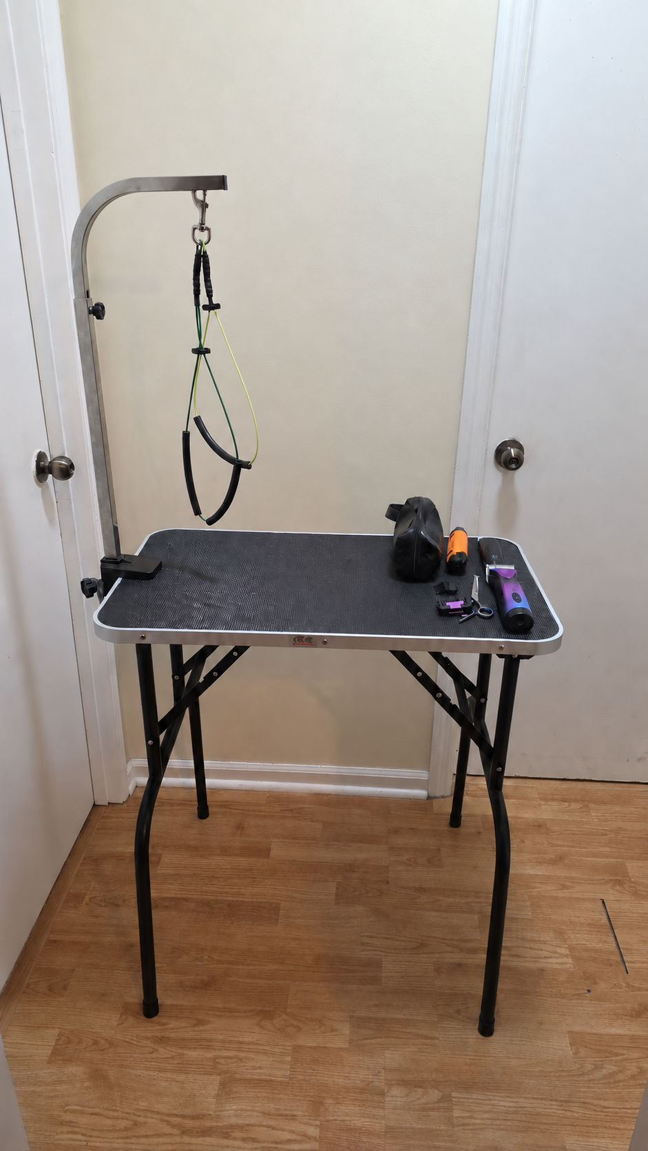 Our Home Grooming Routine for a Traveling Miniature Schnauzer